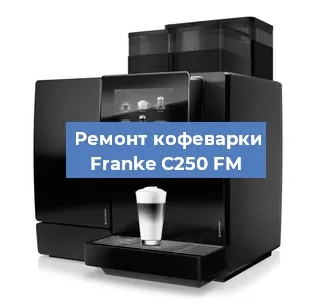 Декальцинация   кофемашины Franke C250 FM в Санкт-Петербурге